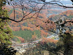 中央自動車道と紅葉