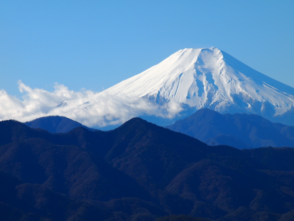 2016年暮れ