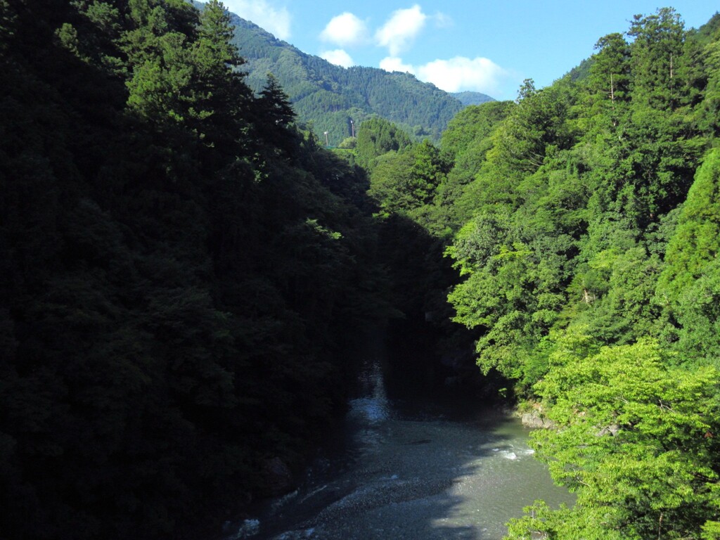 多摩川の朝
