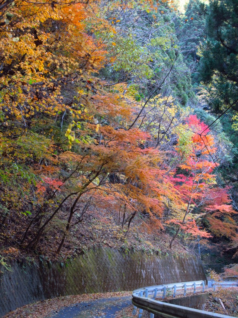 林道