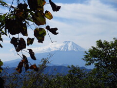 山頂直下より