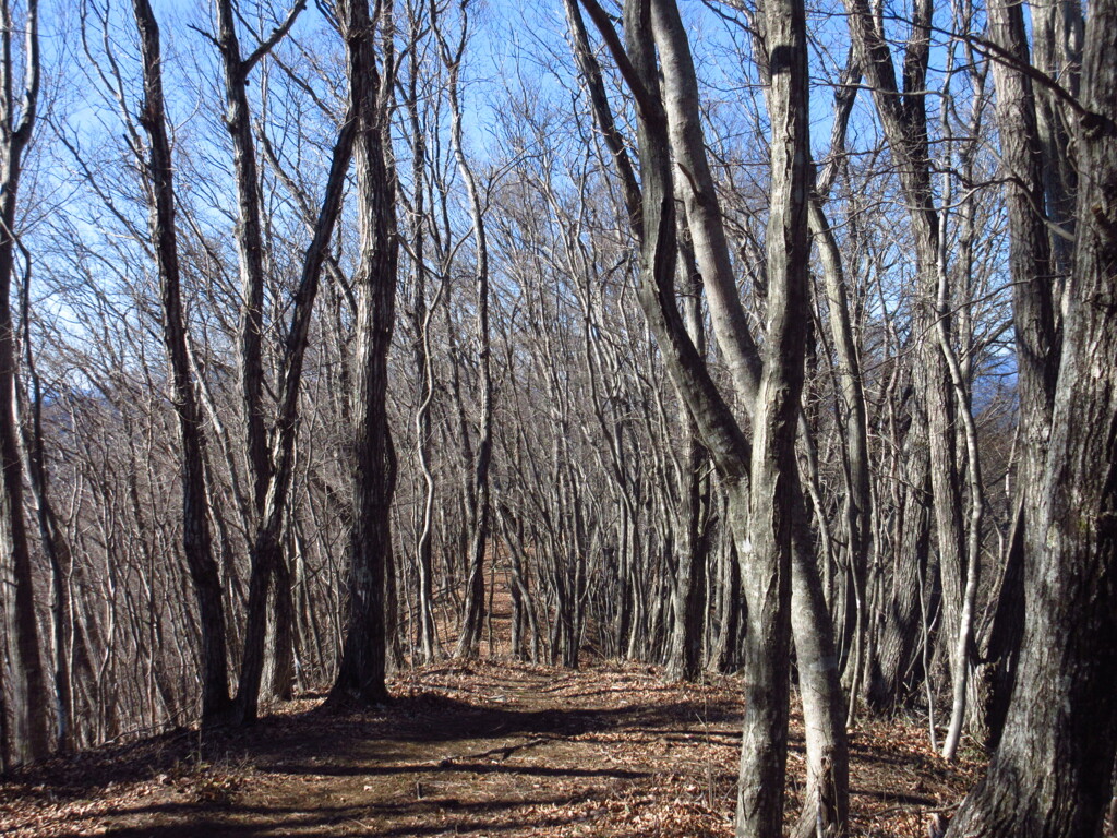 平らな山頂