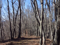 平らな山頂