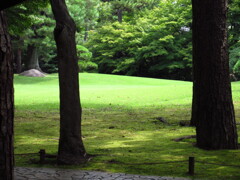 庭園
