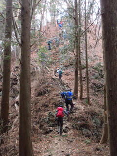 山登り