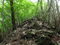 露岩状の尾根