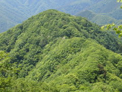山