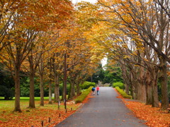 公園にて