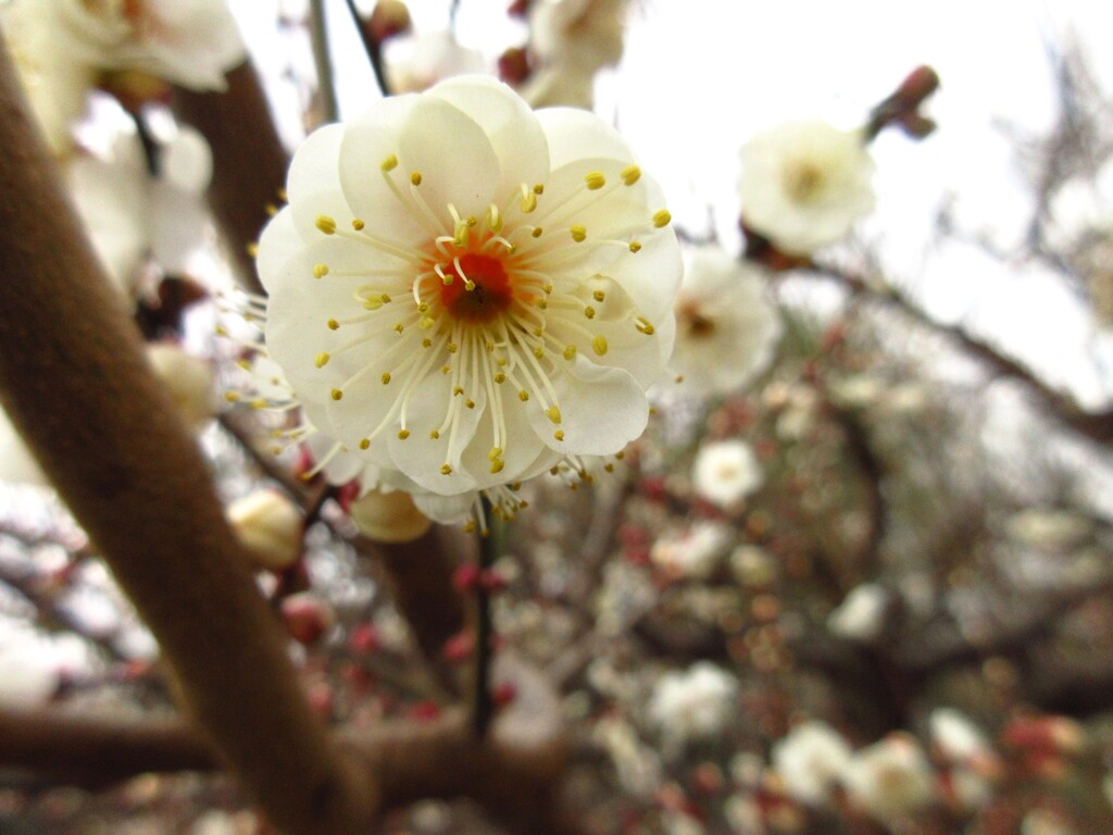 2月