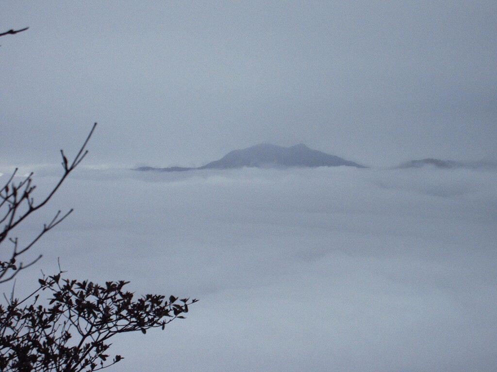 雲海