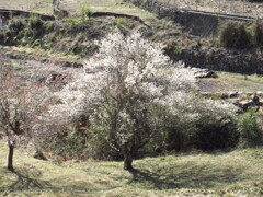 山の集落にて