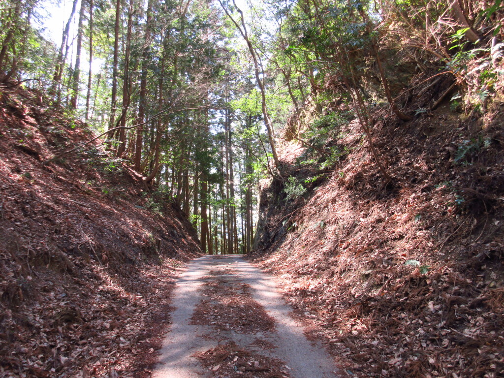 峠道