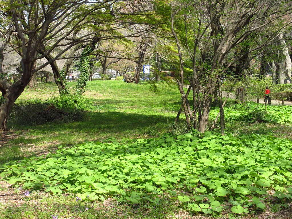 公園にて
