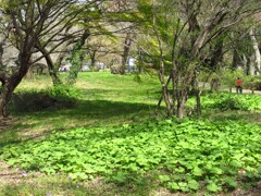 公園にて