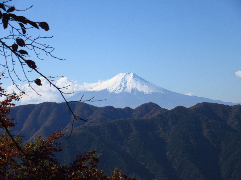 秋晴れ
