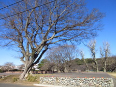 遺跡