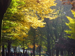 休日の公園