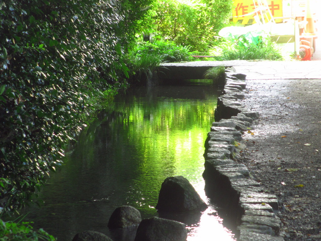 散歩道