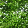 山道にて