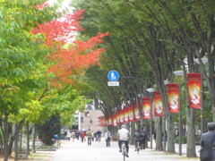 街路樹