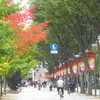 街路樹