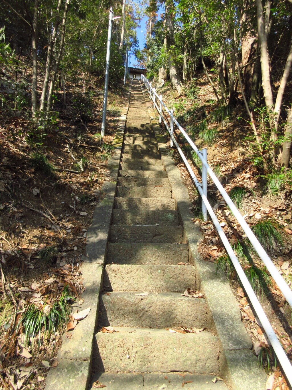 神社の石段