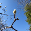 春近し