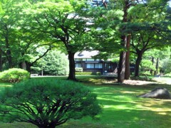 庭園の夏