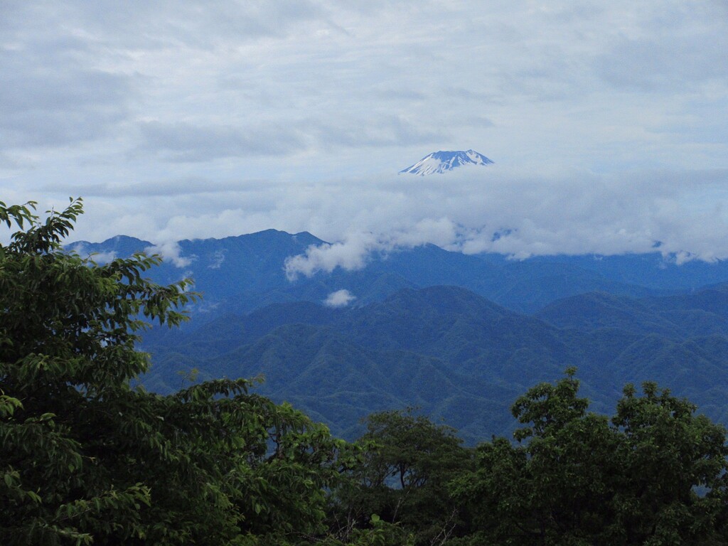 梅雨間近