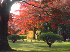 庭園にて