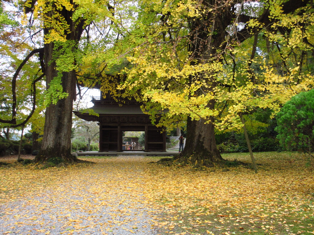 山門