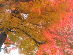 神社にて