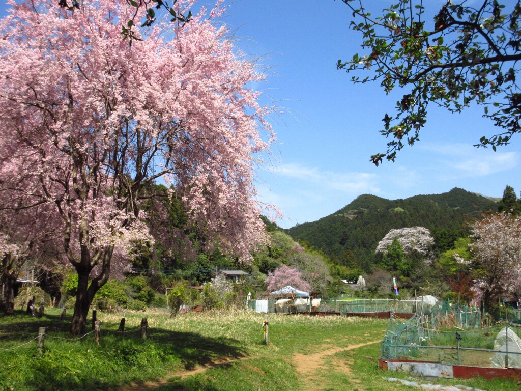 ユガテの風景