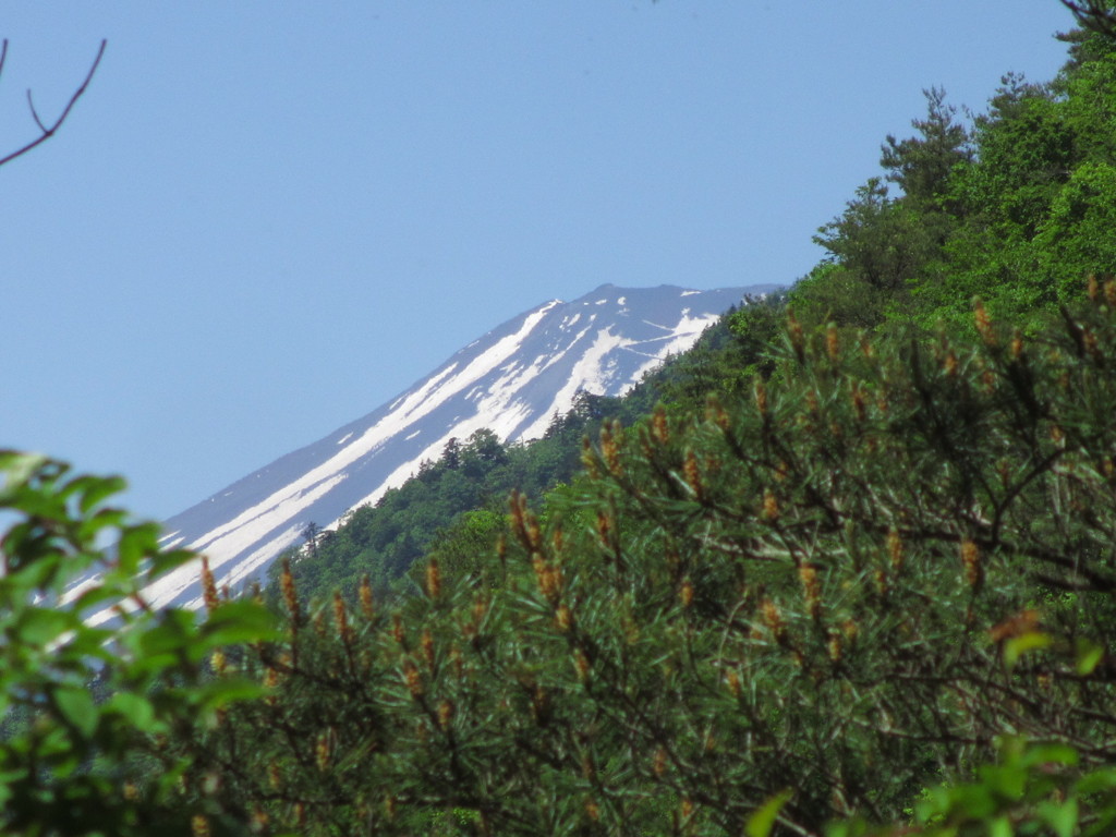 富士山