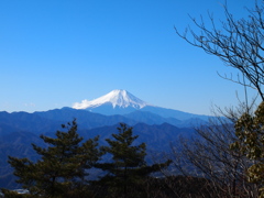 冬晴れの富士山