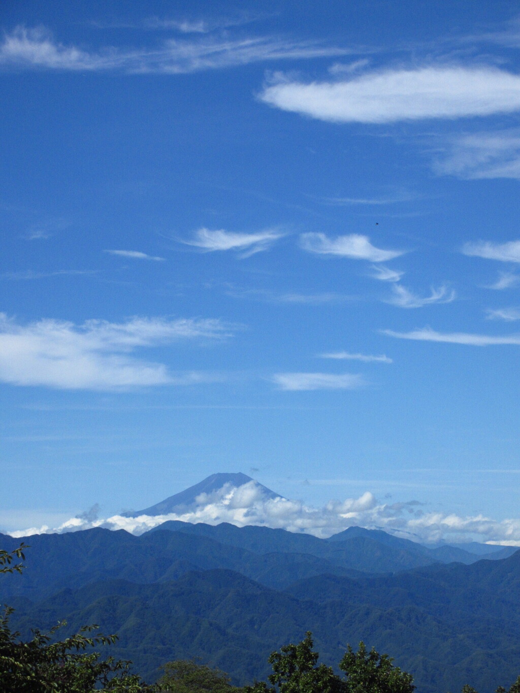 夏富士