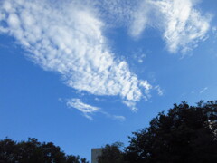 夏空
