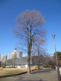 公園にて