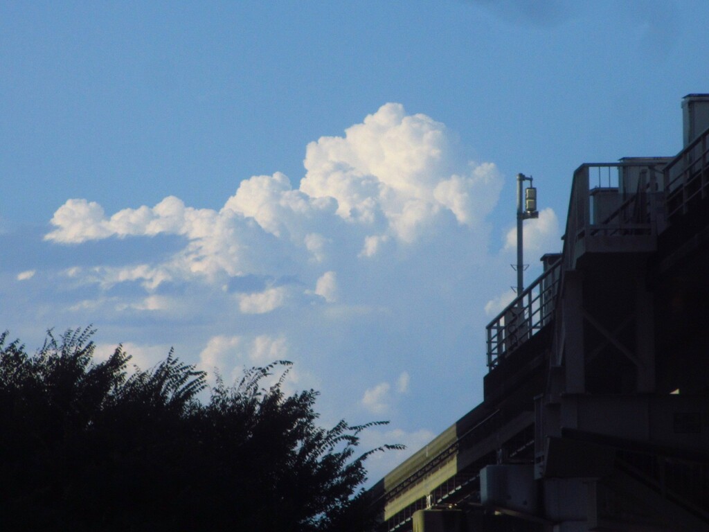 まだ夏空