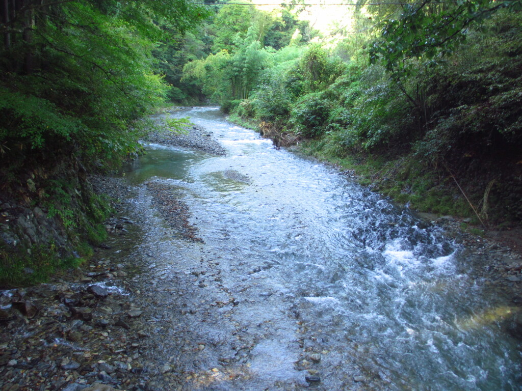 南秋川の流れ
