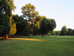 公園