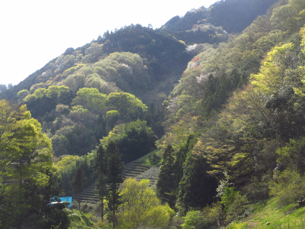 和田にて