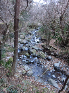 冬の沢