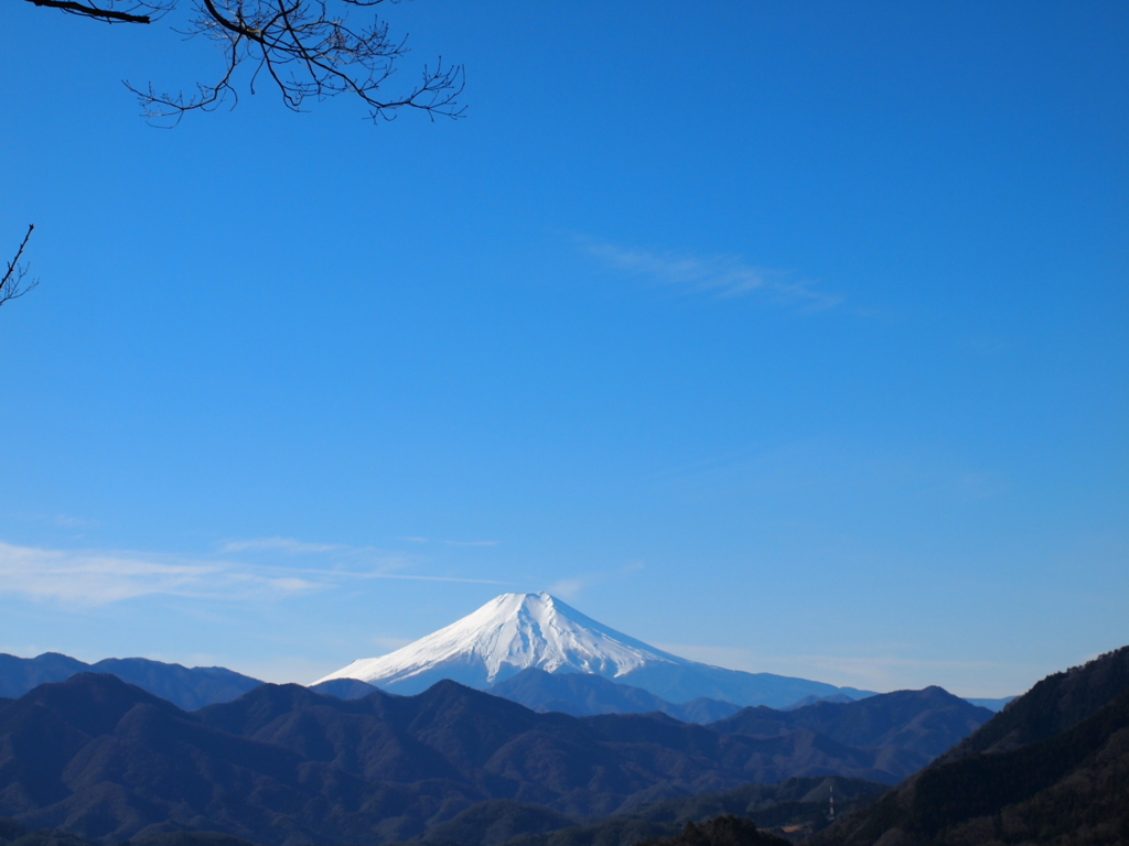 すそ野