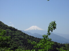 富士山