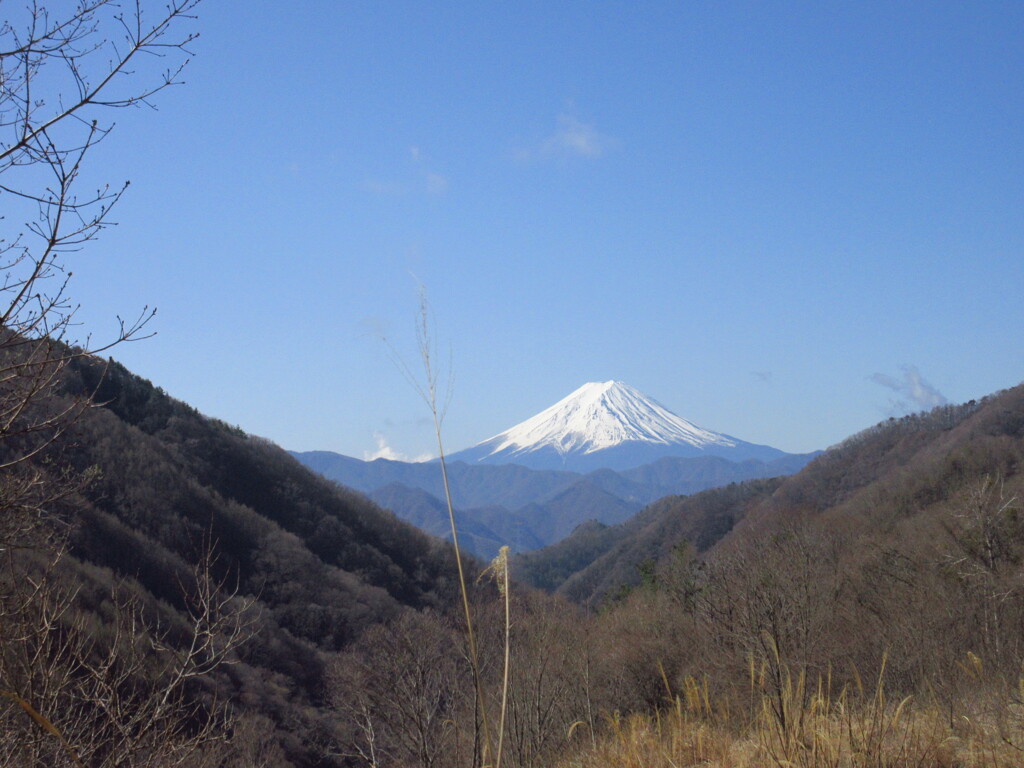 展望地