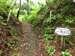 切通し
