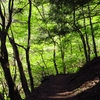 山道