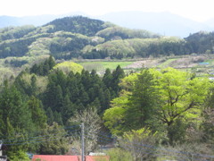 春の里山