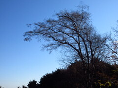 寒空